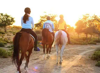 Belek Horse Riding at Sunset